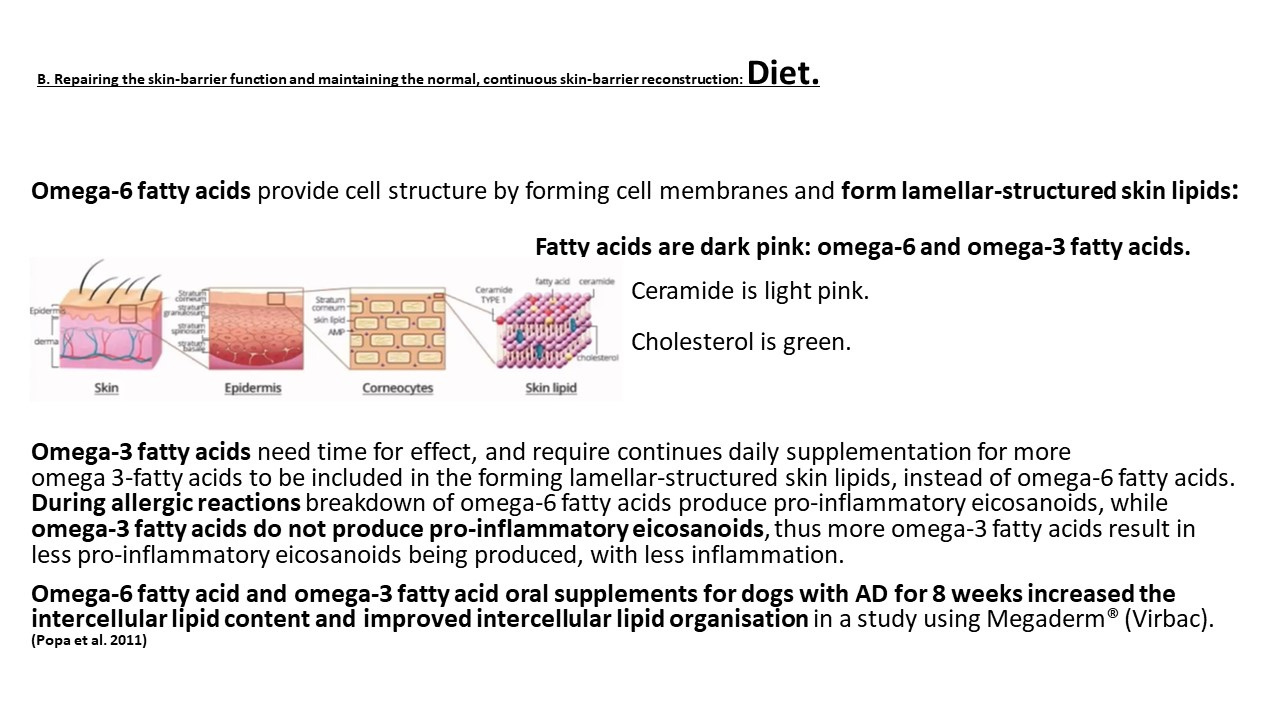 Pruritic_Dog_Webinar_Slide_54.jpg